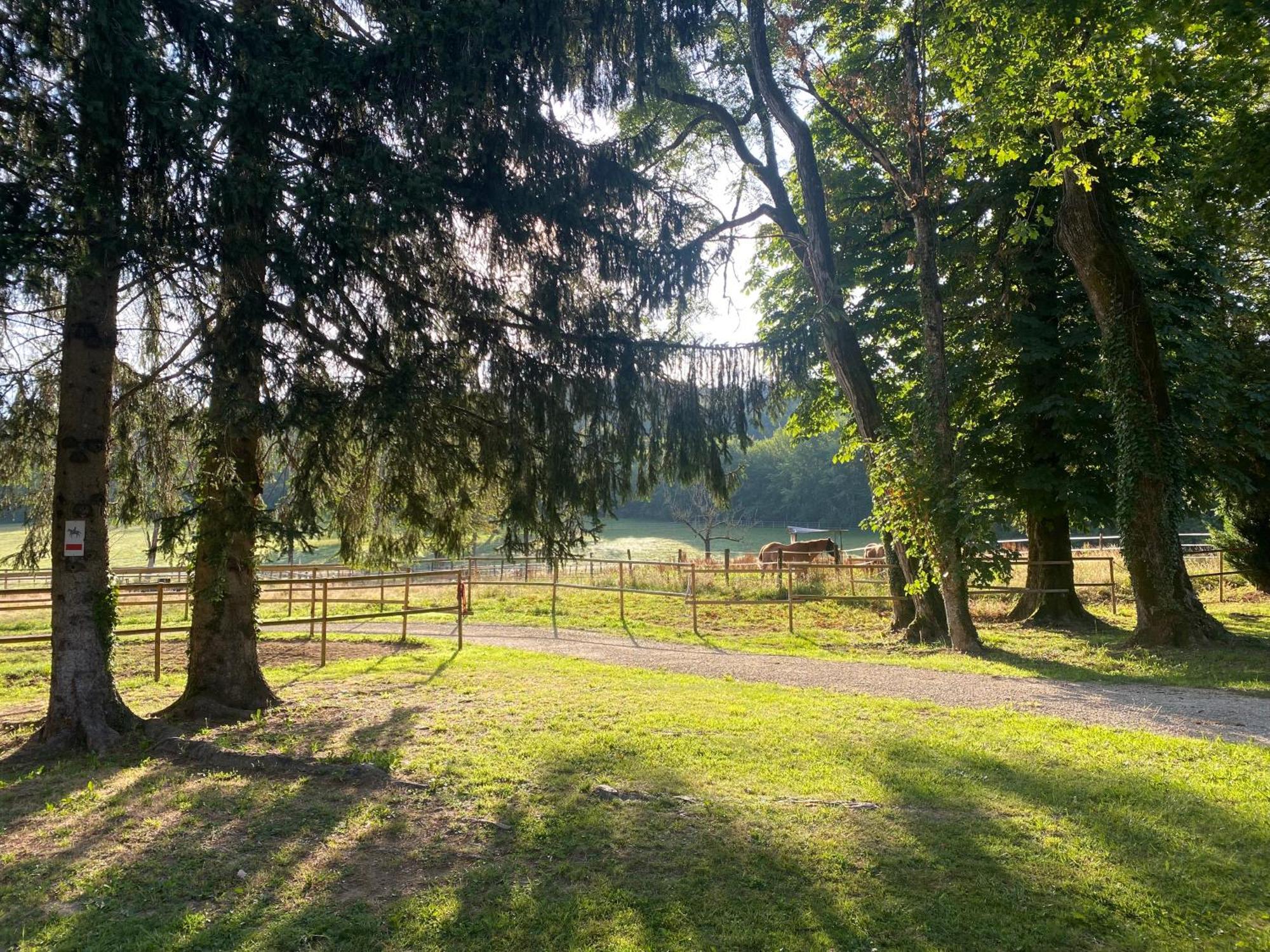 לינה וארוחת בוקר Quingey Le Colombier De Malpas מראה חיצוני תמונה